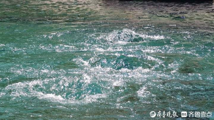 并列第一！济南“趵突腾空”胜景持续313天，这项纪录将被打破
