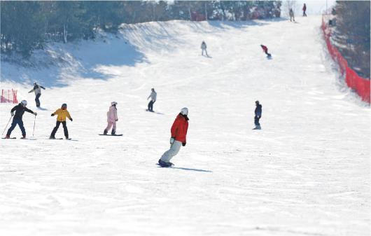 青岛：冬日滑雪热 感受冰雪运动魅力-新华网