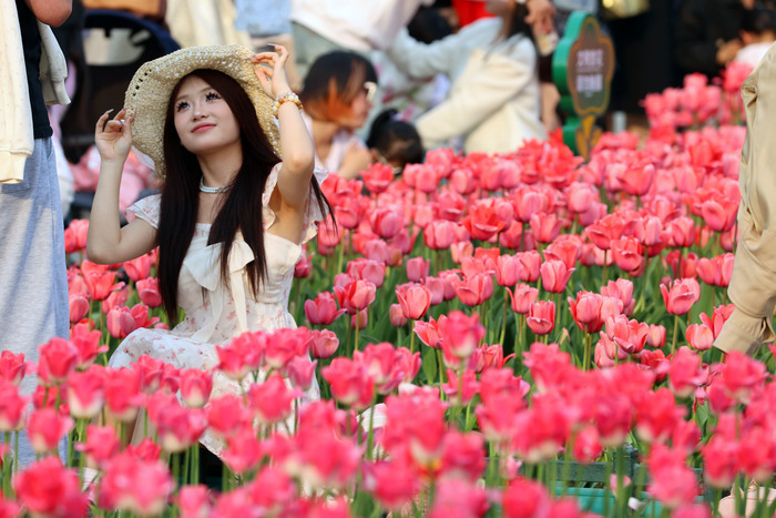 “郁”见美好!济南这里郁金香缤纷盛开,温馨浪漫