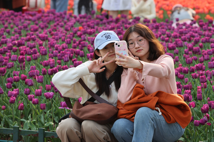 “郁”见美好!济南这里郁金香缤纷盛开,温馨浪漫