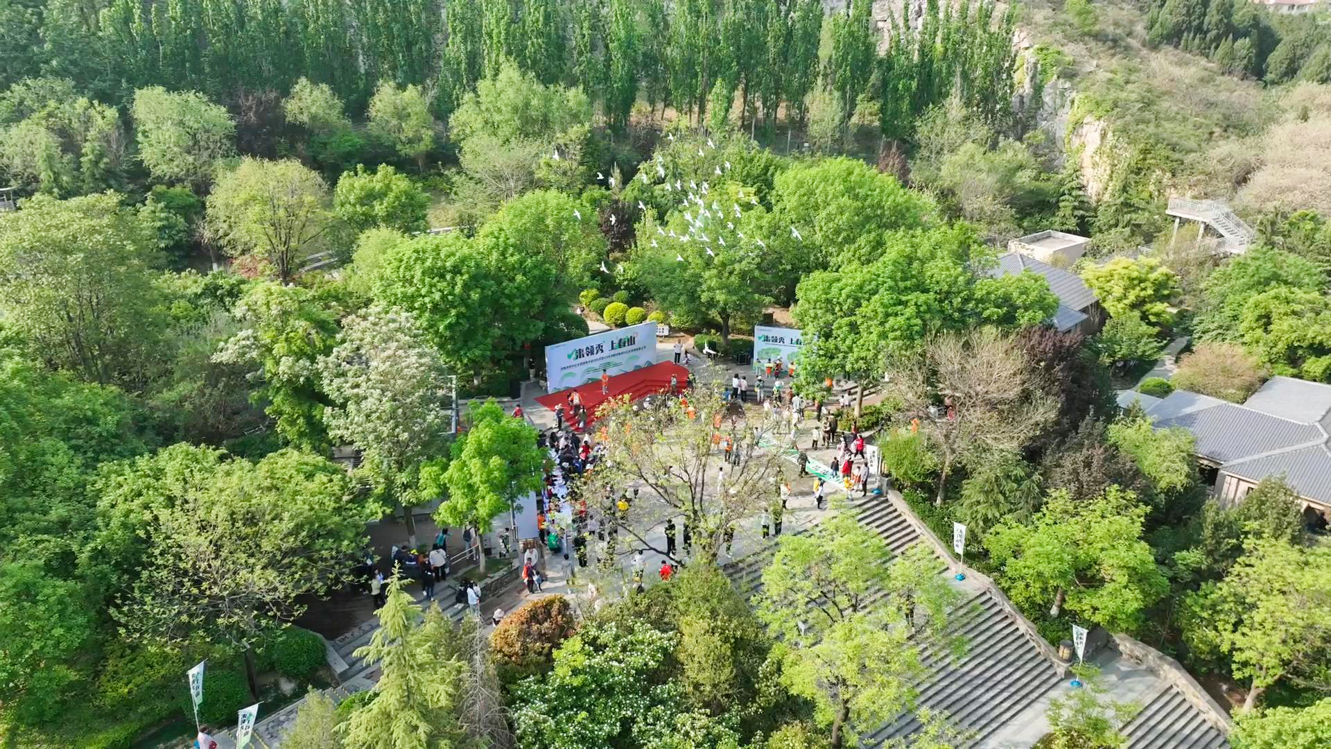 33621652594c453e5c5c5bce52c51572-sz_1801867