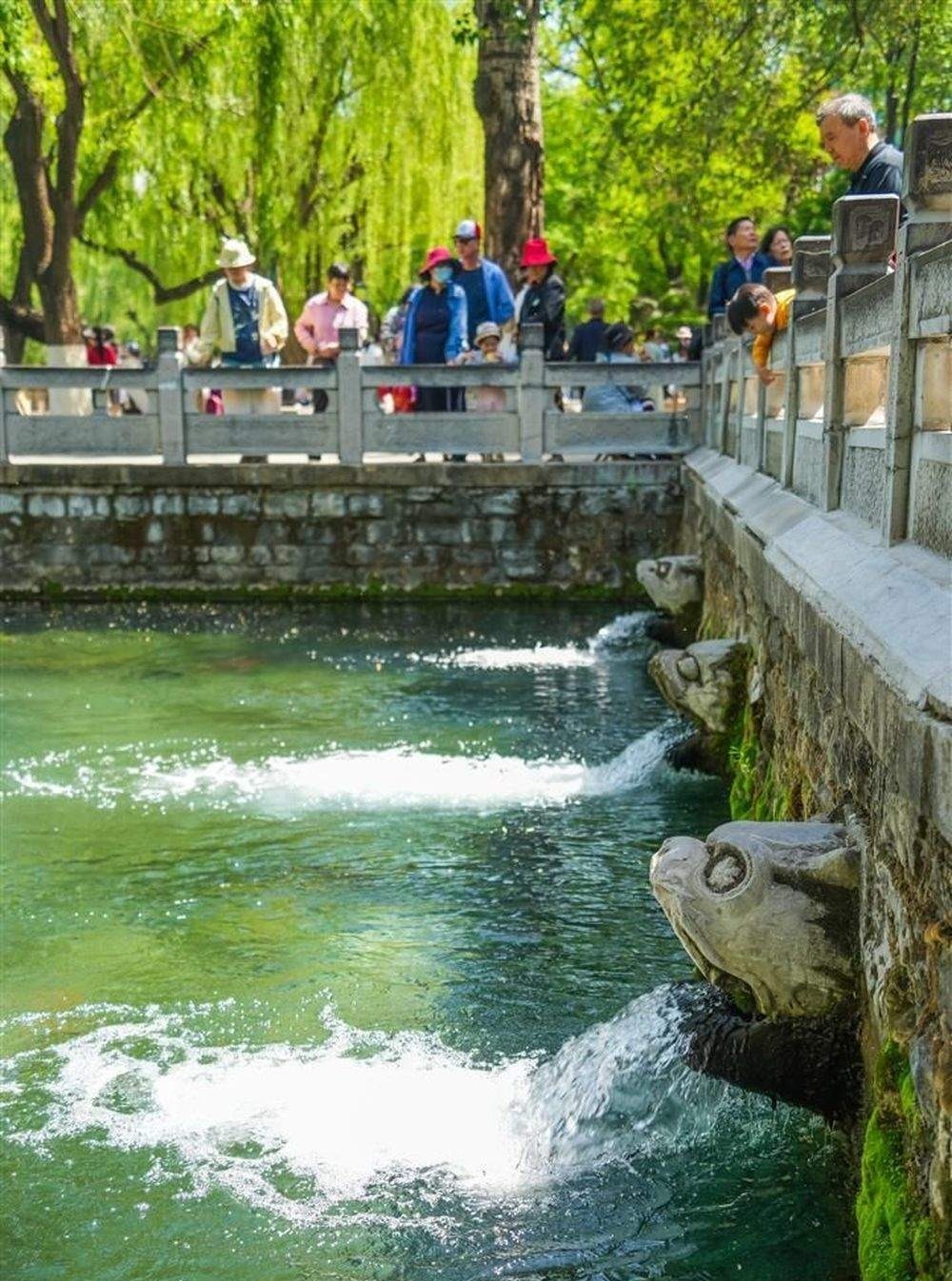 “泉”在济南过五一｜郁郁葱葱蕴诗意，济南黑虎泉三只“兽头”欢畅喷涌