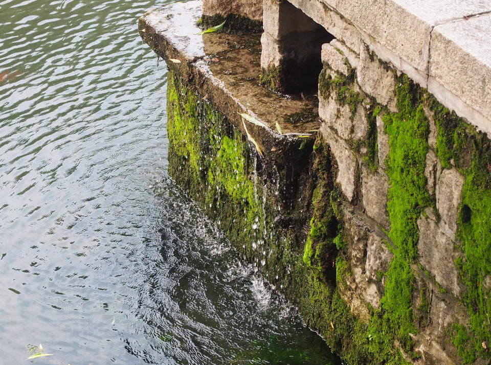 美如珠帘，济南玛瑙泉复苏重现活力