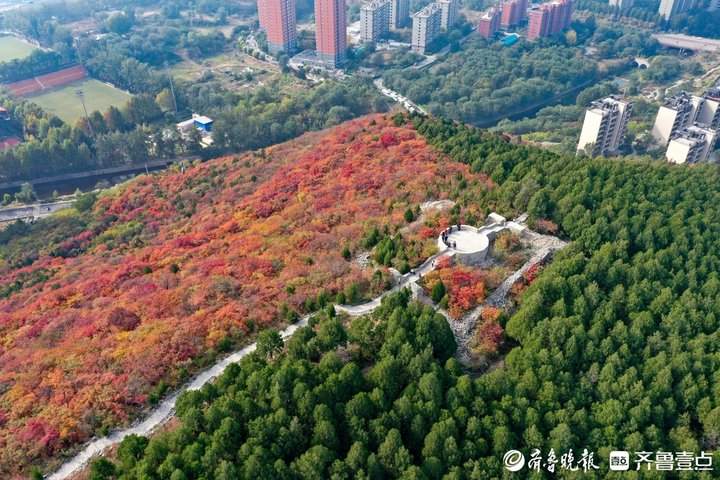 “平分秋色”有画面了,济南蝎子山现一山双色奇观