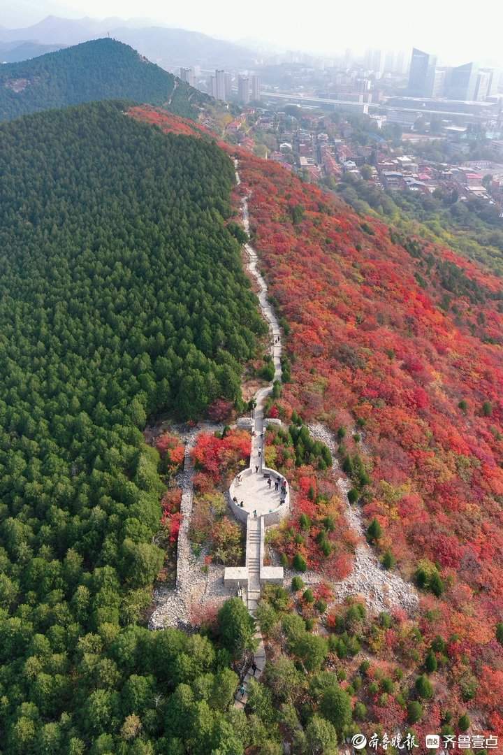 “平分秋色”有画面了,济南蝎子山现一山双色奇观