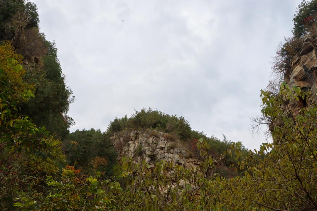 济南藏龙涧:峡谷深涧鬼斧神工 危崖生树景色奇崛