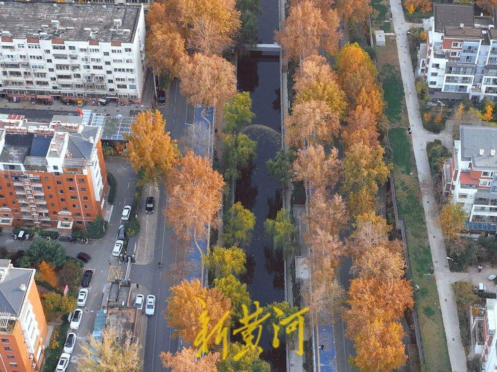 初冬时节，在济南工商河畔邂逅斑斓美景