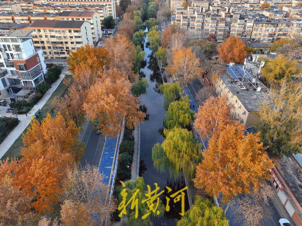初冬时节，在济南工商河畔邂逅斑斓美景