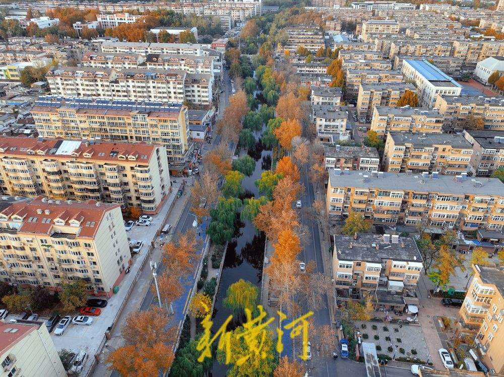 初冬时节，在济南工商河畔邂逅斑斓美景
