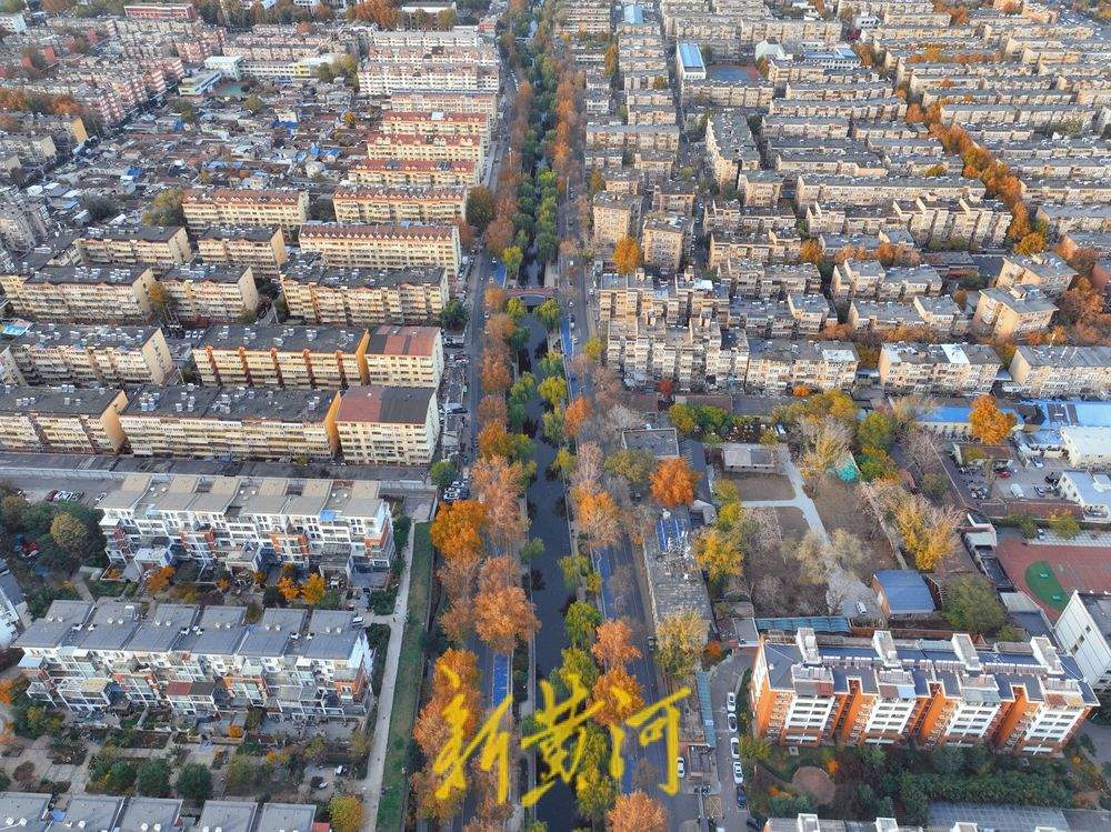 初冬时节，在济南工商河畔邂逅斑斓美景