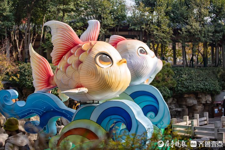 趵突泉花灯会上来了一群萌锦鲤,听说还能“游”起来