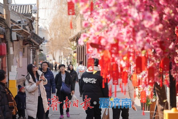 泉城年味气氛组已就位,是“蛇”候过年啦!