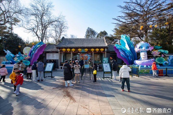 泉城年味气氛组已就位,是“蛇”候过年啦!