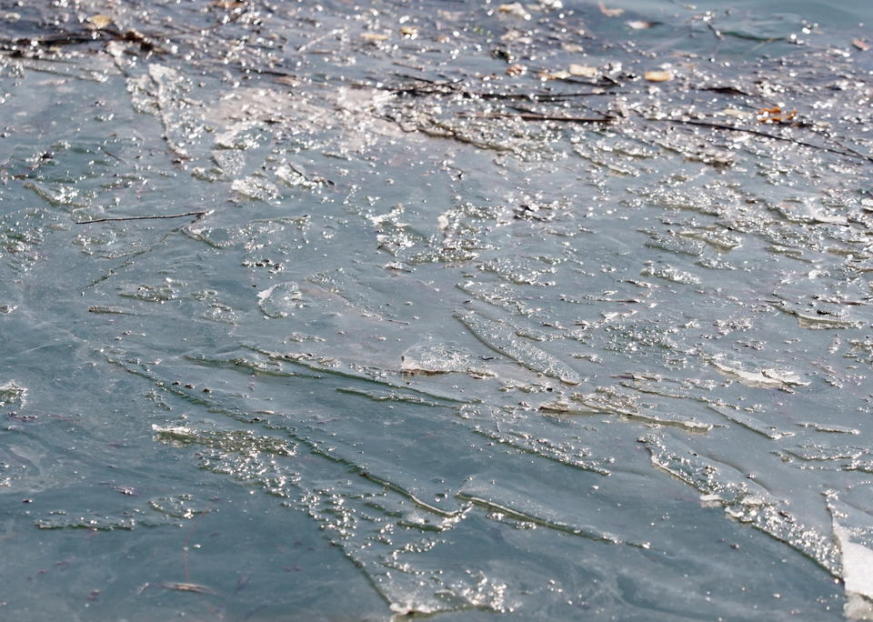 深度冰冻三四天,济南大明湖岸边出现较大面积冰封