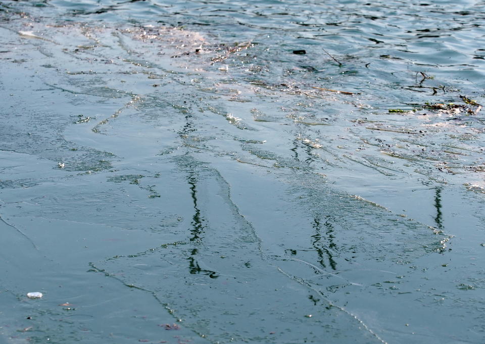 深度冰冻三四天,济南大明湖岸边出现较大面积冰封