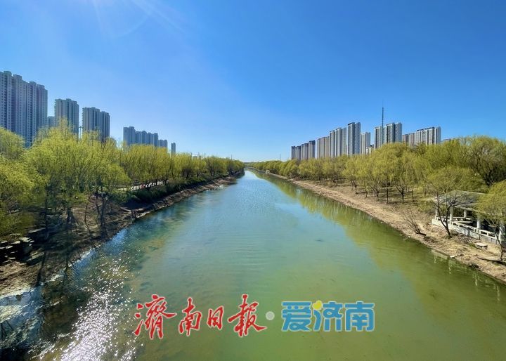 小清河春意盎然