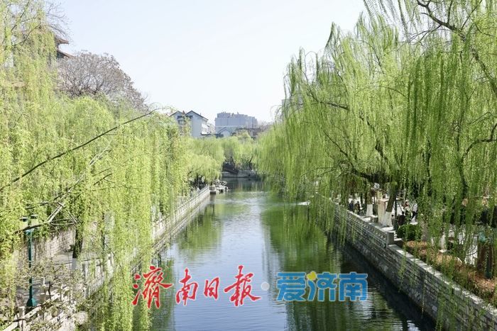 护城河畔绿意盎然 春日美景惹人醉