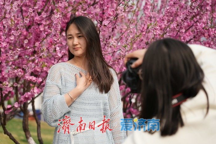 济南泉城广场榆叶梅“花漾”绽放!