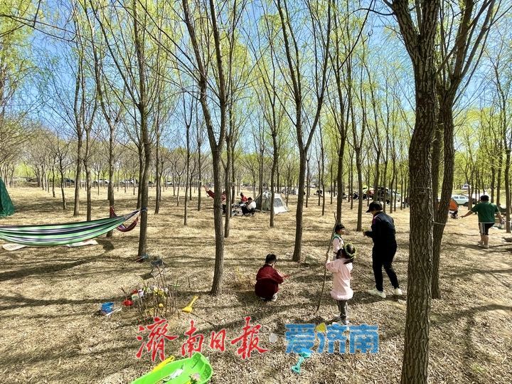 亲近自然，享受家门口的“诗与远方”