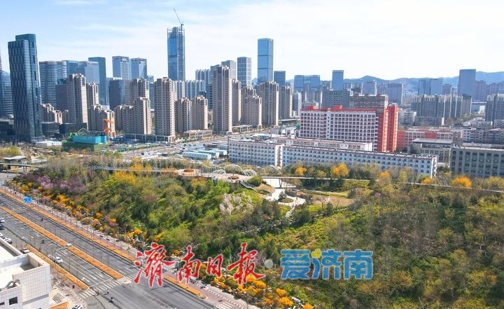 绿脊连天混一色，漫山春花入城来