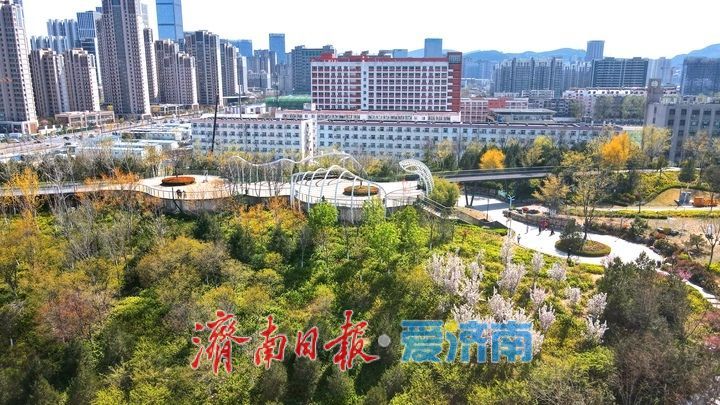 绿脊连天混一色,漫山春花入城来