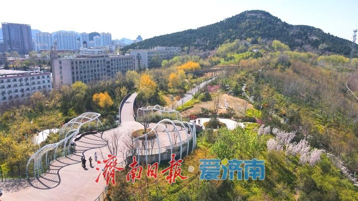 绿脊连天混一色，漫山春花入城来