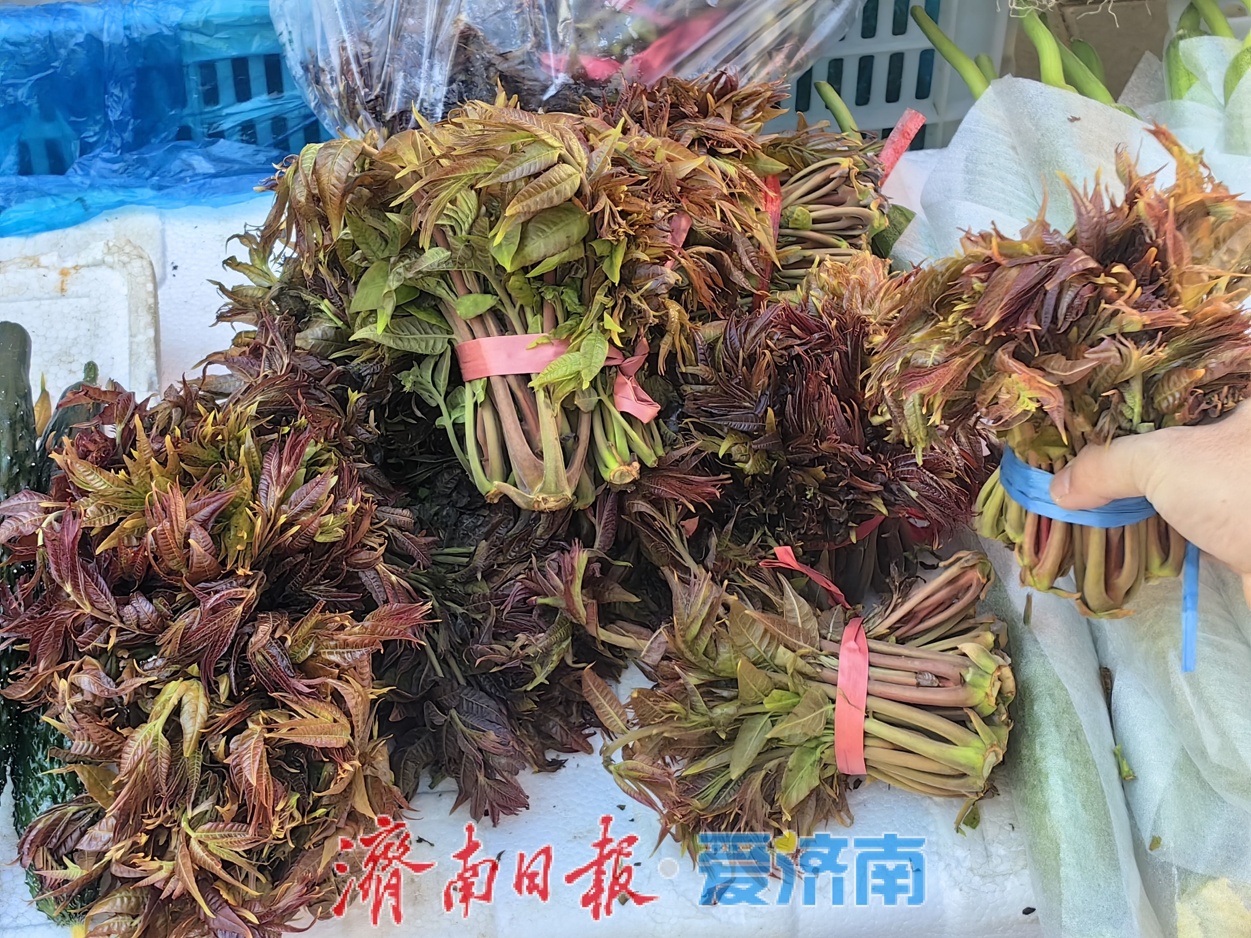 春菜供应充足价格下降,市民“菜篮子”更轻盈了
