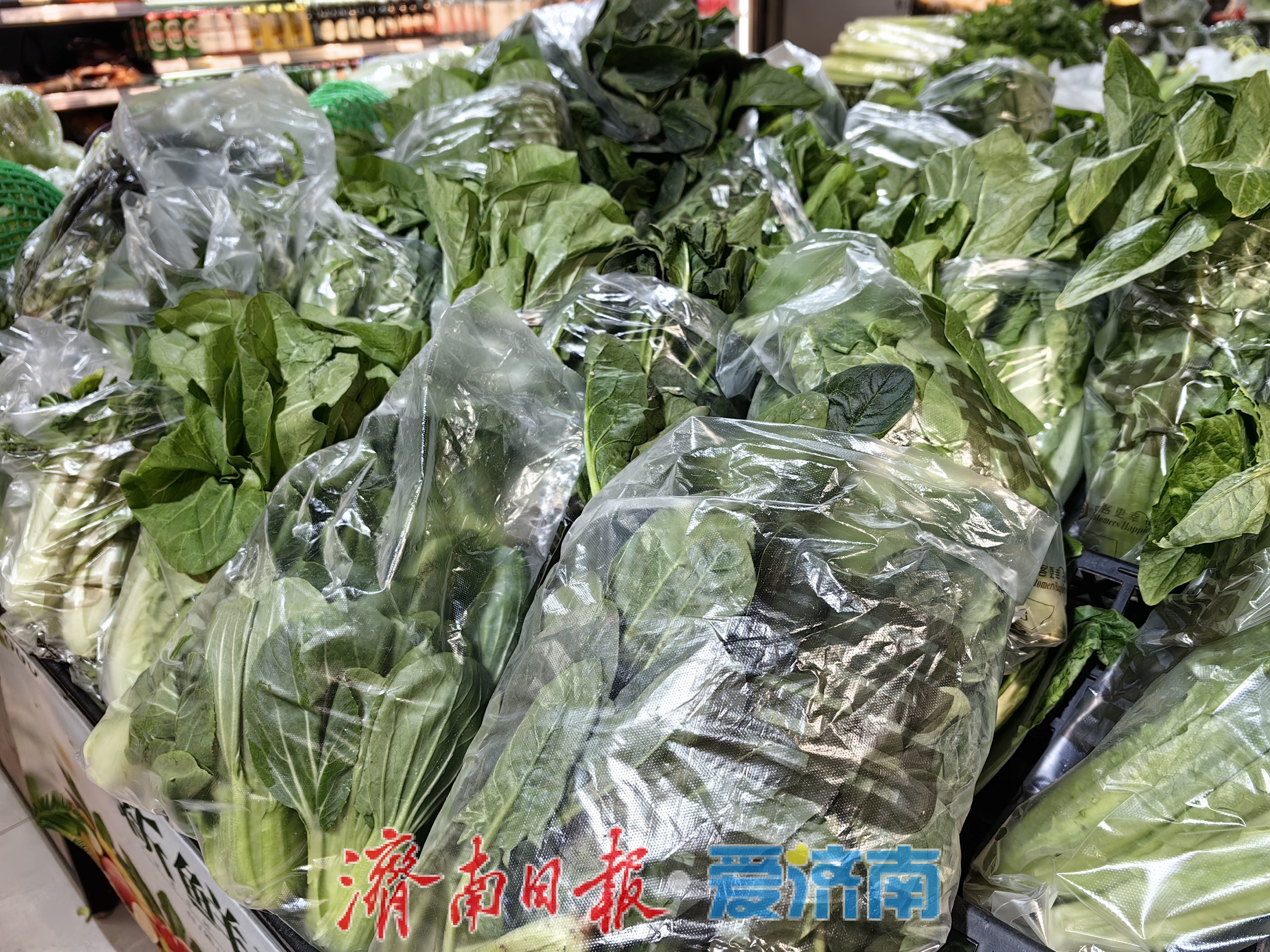 春菜供应充足价格下降,市民“菜篮子”更轻盈了