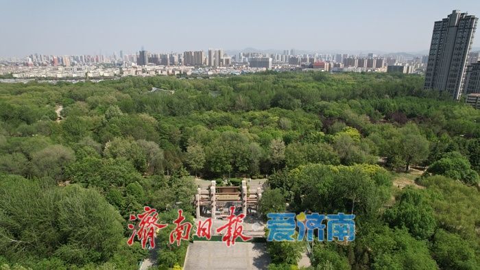 济南森林公园绿意浓,暮春时节展生机