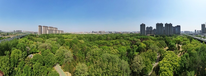 济南森林公园绿意浓,暮春时节展生机