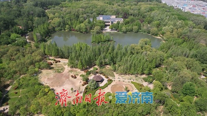 济南森林公园绿意浓,暮春时节展生机