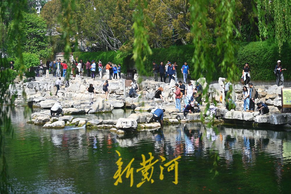 人潮涌动！护城河畔泉水游持续升温