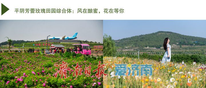 泉城“五一”热门打卡地发布,这个假期来济南!一站式将快乐拉满