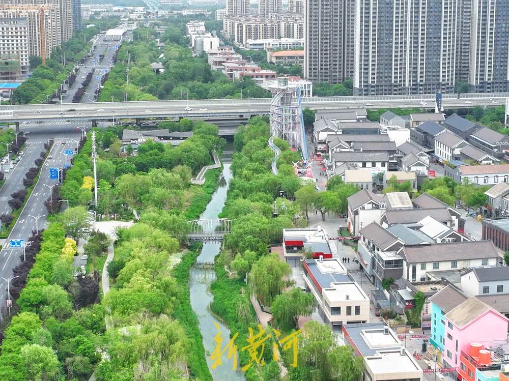 一年四季 泉在济南｜绿柳如烟、满目青翠！绿色打底绘就泉城的初夏