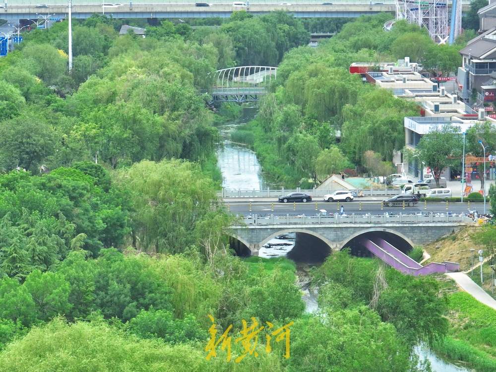 一年四季 泉在济南｜绿柳如烟、满目青翠！绿色打底绘就泉城的初夏