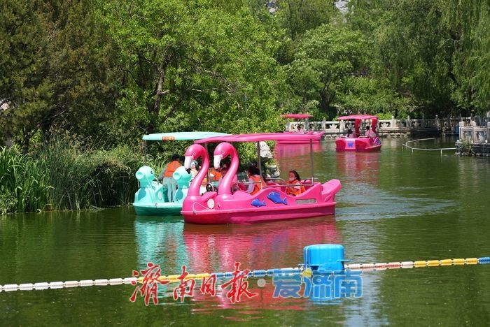 一年四季 泉在济南丨初夏泛舟，市民乐享“水上时光”