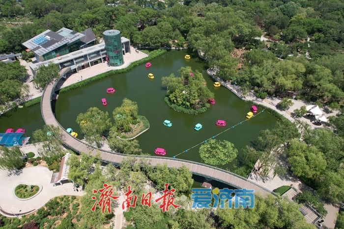 一年四季 泉在济南丨初夏泛舟，市民乐享“水上时光”