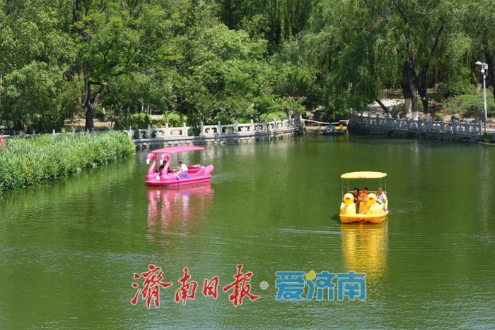 一年四季 泉在济南丨初夏泛舟，市民乐享“水上时光”