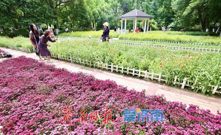 泉城五月花事浓!济南花圃公园化身“天然调色盘”