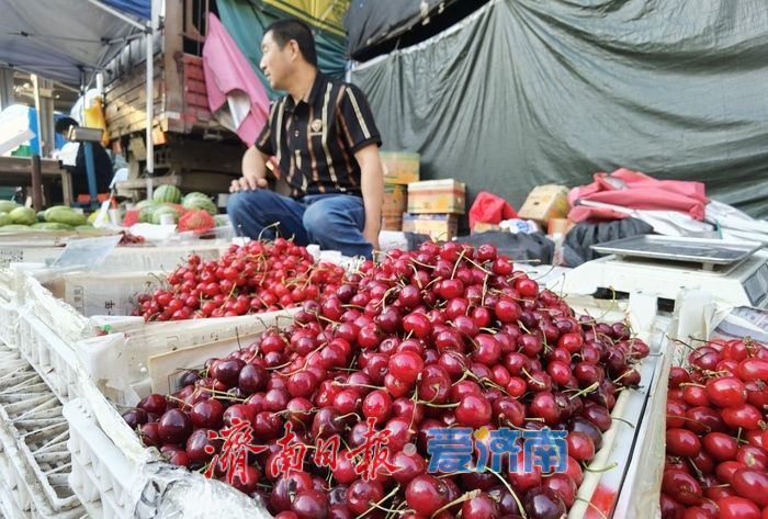 “果盘子”上新啦!济南樱桃集中上市,价格亲民美味诱人