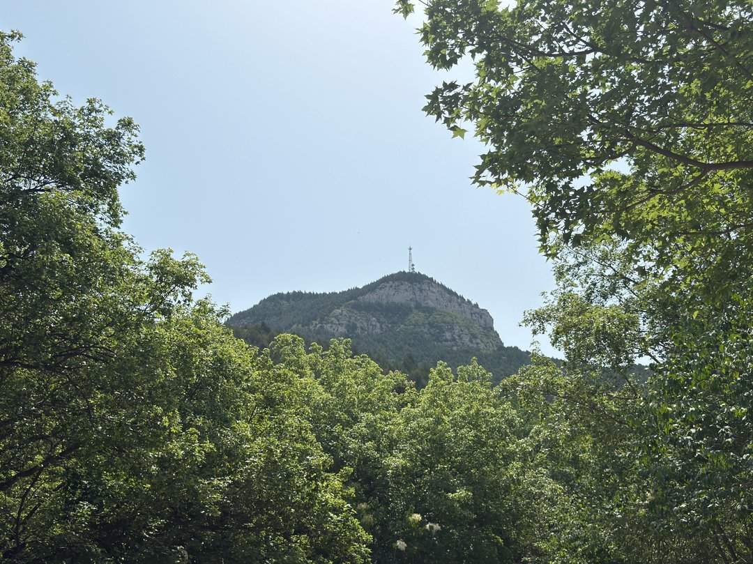 人头攒动,佛慧山公园成热门“打卡地”