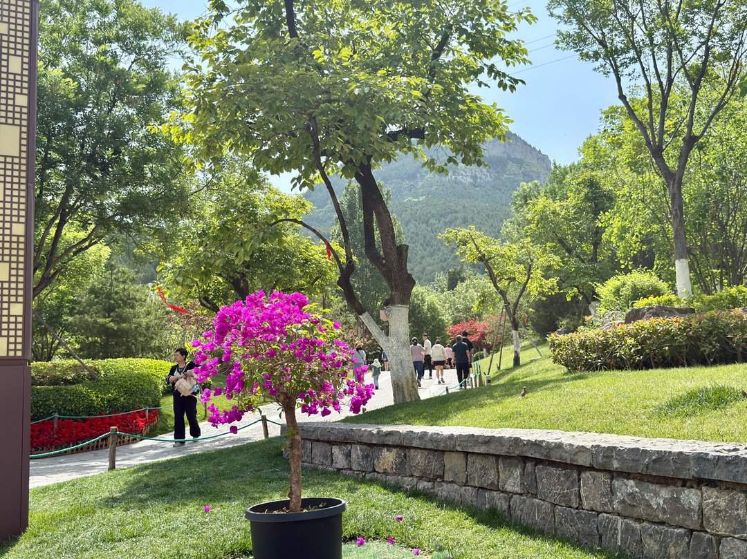 人头攒动,佛慧山公园成热门“打卡地”