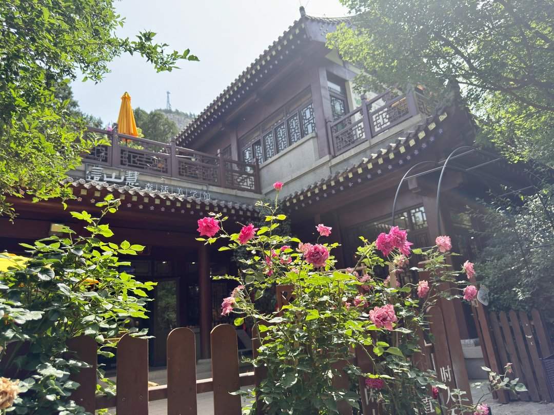 人头攒动,佛慧山公园成热门“打卡地”