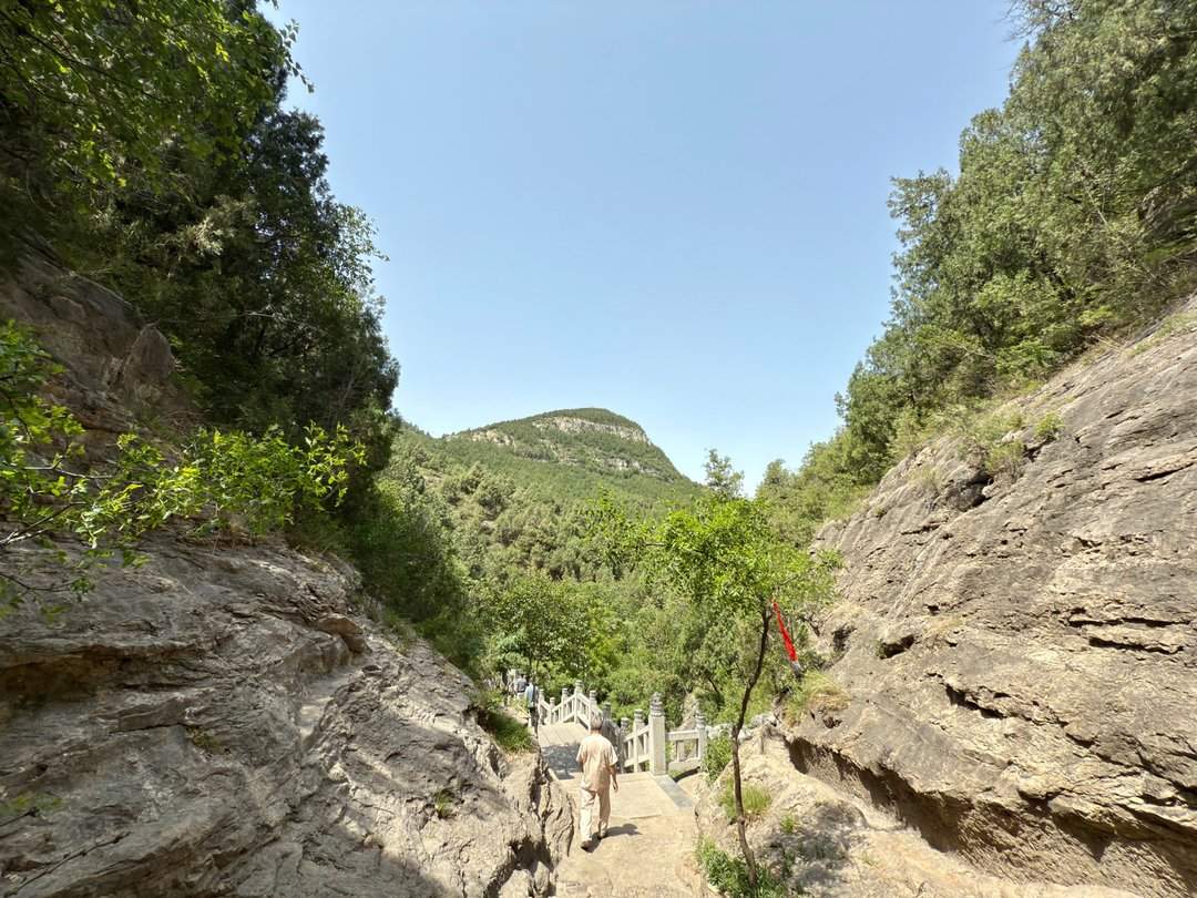 人头攒动,佛慧山公园成热门“打卡地”