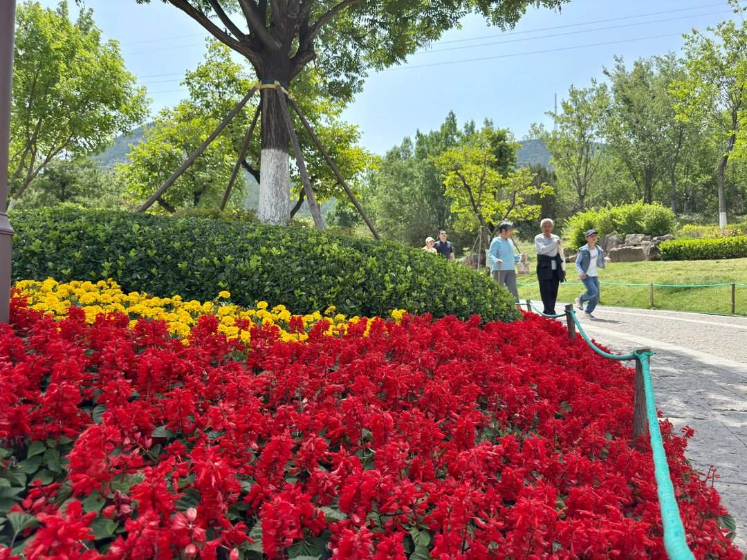 人头攒动,佛慧山公园成热门“打卡地”