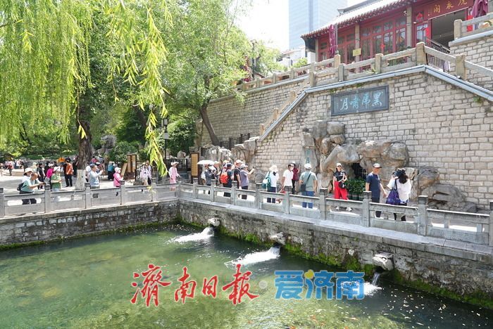 烈日炙烤 护城河畔成为“避暑秘境”