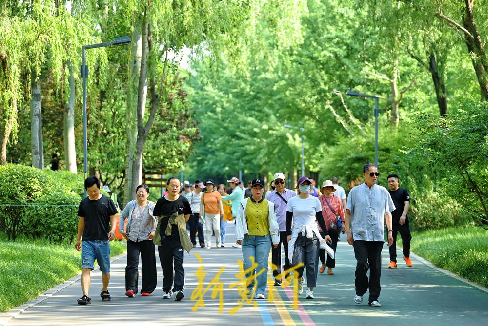 高温下 济南森林公园成天然氧吧 吸引市民健身挥汗如雨
