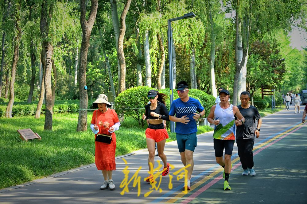 高温下 济南森林公园成天然氧吧 吸引市民健身挥汗如雨