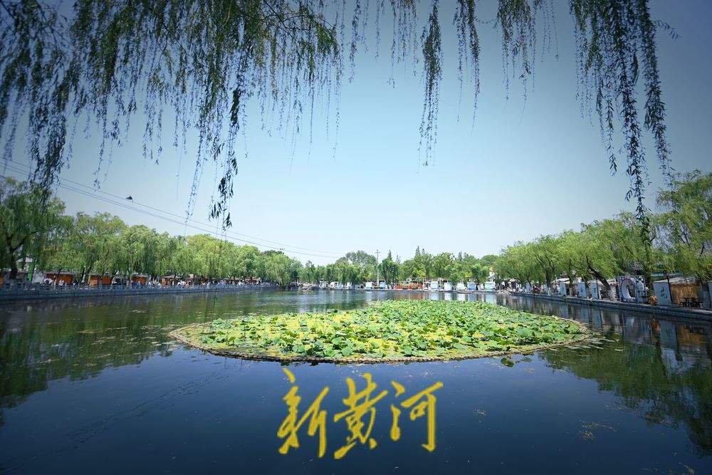一年四季 泉在济南｜夏日炎炎 百花洲畔荷叶田田