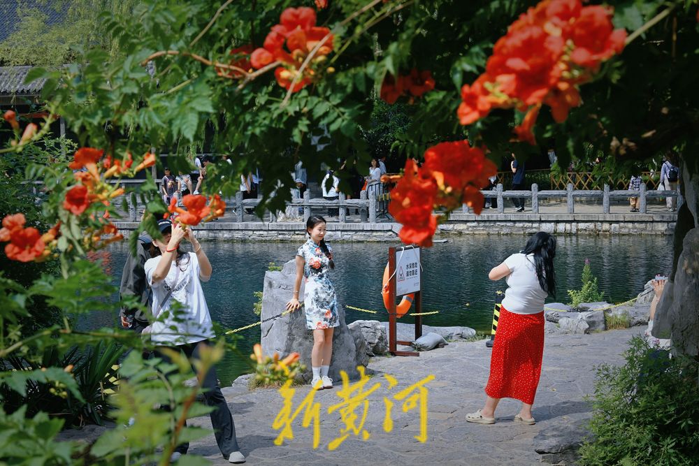 一年四季 泉在济南丨泉水畔凌霄花开与建筑交相辉映